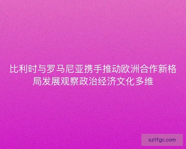 比利时与罗马尼亚携手推动欧洲合作新格局发展观察政治经济文化多维