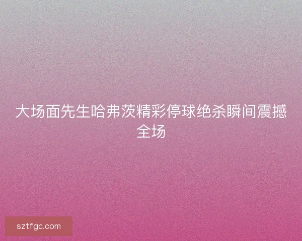 大场面先生哈弗茨精彩停球绝杀瞬间震撼全场